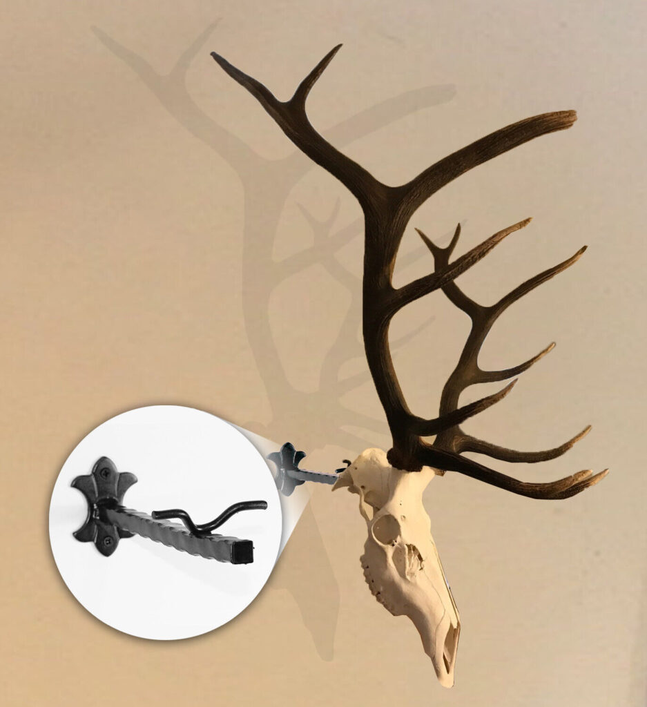 List of Top Best  Elk European Mount our top picks